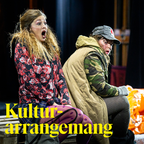 Kulturarr_puff_27