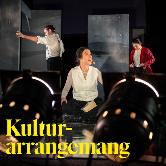 Kulturarrangemang_puff_25